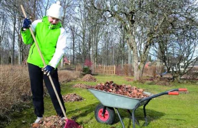 Мартышкин труд: какие работы не нужно делать в саду по весне