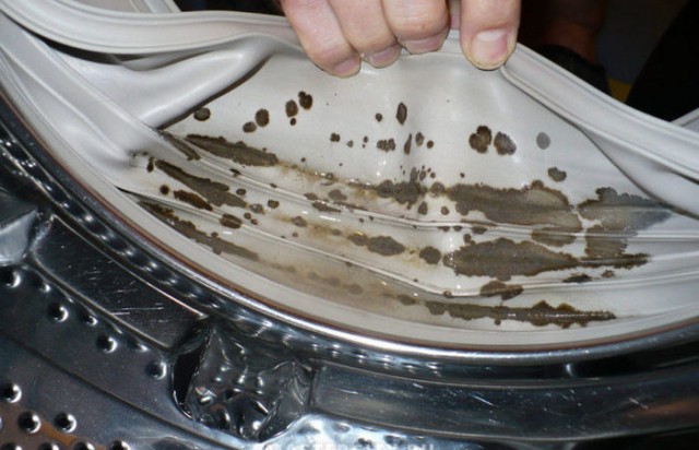 Плесень и грибок в стиральной машине