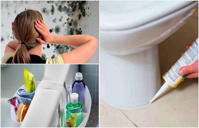 Как защитить ванную комнату от вражеской плесени и грибка