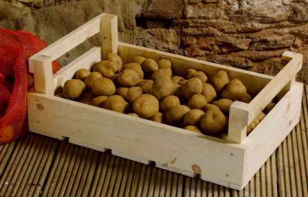 Как хранить картофель у себя в квартире в зимнее время