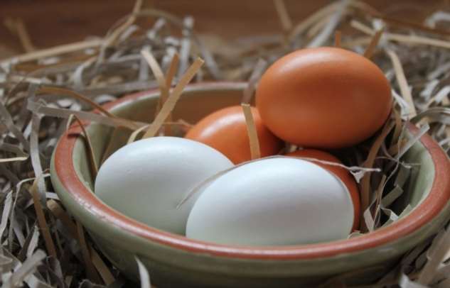 Коричневые или белые: какие куриные яйца считаются полезнее